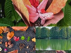 -国家植物园(地铁站)