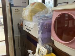 -宠爱国际动物医院·消化内科·心肾内科·ISFM猫友好(望京店)