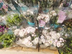 -盒马鲜生(富田新天地店)