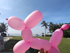 -三亚海棠湾万丽度假酒店