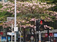 -鹅最好(南光店)