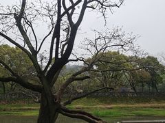 -兰亭风景区
