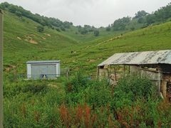 -关山草原