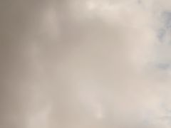 -文叔·湖北名小吃·小龙虾(华强北店)