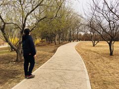 -长春公园(普阳街道)