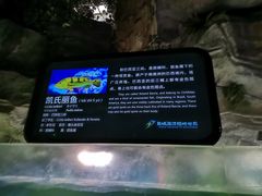 -泉城欧乐堡海洋极地世界