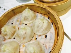 -同乐轩港式早茶