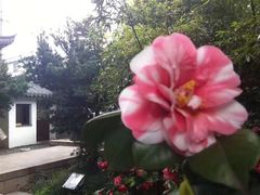 -安方塔