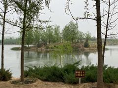 -马家湾湿地公园