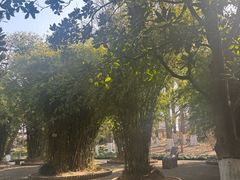 -瀛洲公园