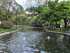 -上海瑞金洲际酒店