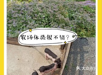 夏日遛娃|赶紧带宝贝来前小桔创意农场游玩吧