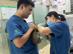 -瑞派动物医院·猫专科·至诚(江南中分院)