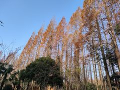-上海怡沁园度假酒店