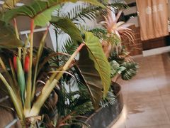 -湊湊火锅·茶憩(皇姑万象汇店)