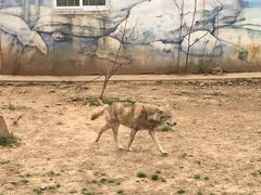 -无锡动物园·太湖欢乐园