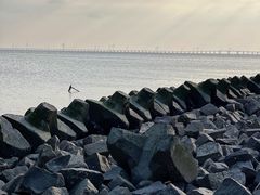 -南汇嘴观海公园