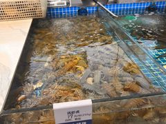 -大锅强·蒸海鲜青岛菜(吾悦广场店)