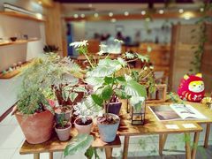 -柴务处·柴犬主题狗咖