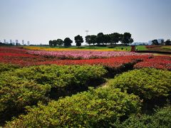 -苏州湾体育公园