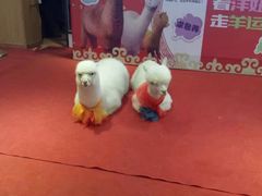 -沈阳商业城(中街路店)