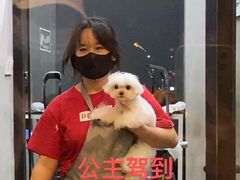 -PETKIT 小佩宠物·低压洗护·美容·寄养(安远店)