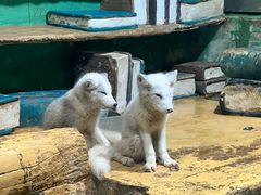 -大连圣亚海洋世界