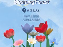 -中粮·祥云小镇