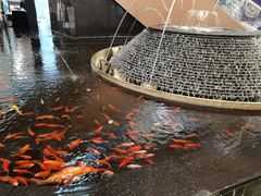 -新世界大丸百货