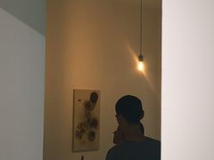 -胶囊画廊