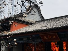 -真庆观