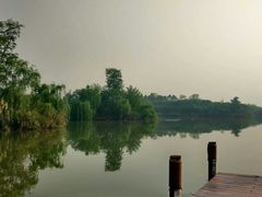 -白鹭湾湿地公园