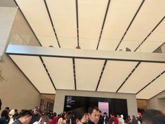 -Apple零售店(苏州店)