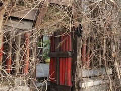 门面-斯多格书乡(北京大学畅春园店)