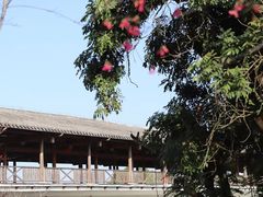 -福建鲤鱼洲酒店