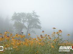 -大连天门山国家森林公园