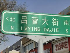 -紫光园·烤鸭(吕家营店)