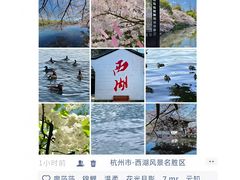 -西湖文化广场