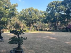 -丁香花园申粤轩·宴会厅