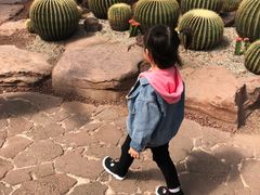 -南通洲际绿博园