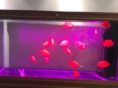 -金蚁康•经络调理•肩颈按摩(万达金街店)