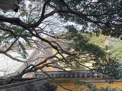 -普陀山风景区-佛顶山