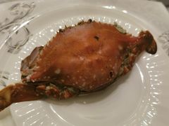 -豆花酒楼·三十八年匠心(秦皇东大街店)