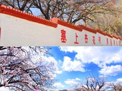-悬空寺