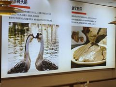 -陆记鹅庄·潮汕菜·狮头鹅(大仟里店)