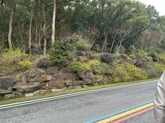 -宝界山林公园