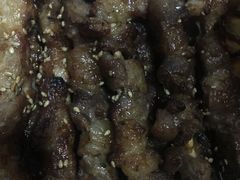 -金刚山烧烤(红旗大街店)