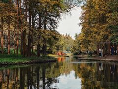 -上海共青森林公园