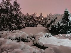 -环城公园-琥珀潭