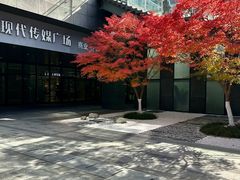 -苏州现代传媒广场商业